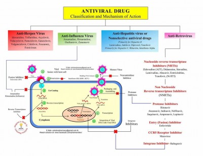 Antiviral Drugs - Pharmacology.jpeg