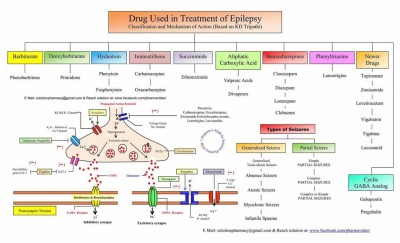 Antiepiletic Drugs - Pharmacology.jpeg
