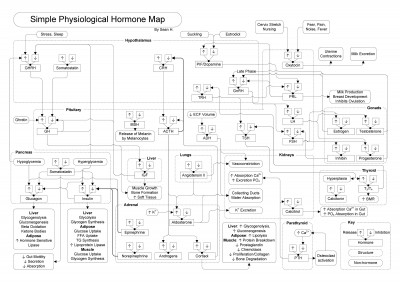 Hormone Mindmapping.jpg